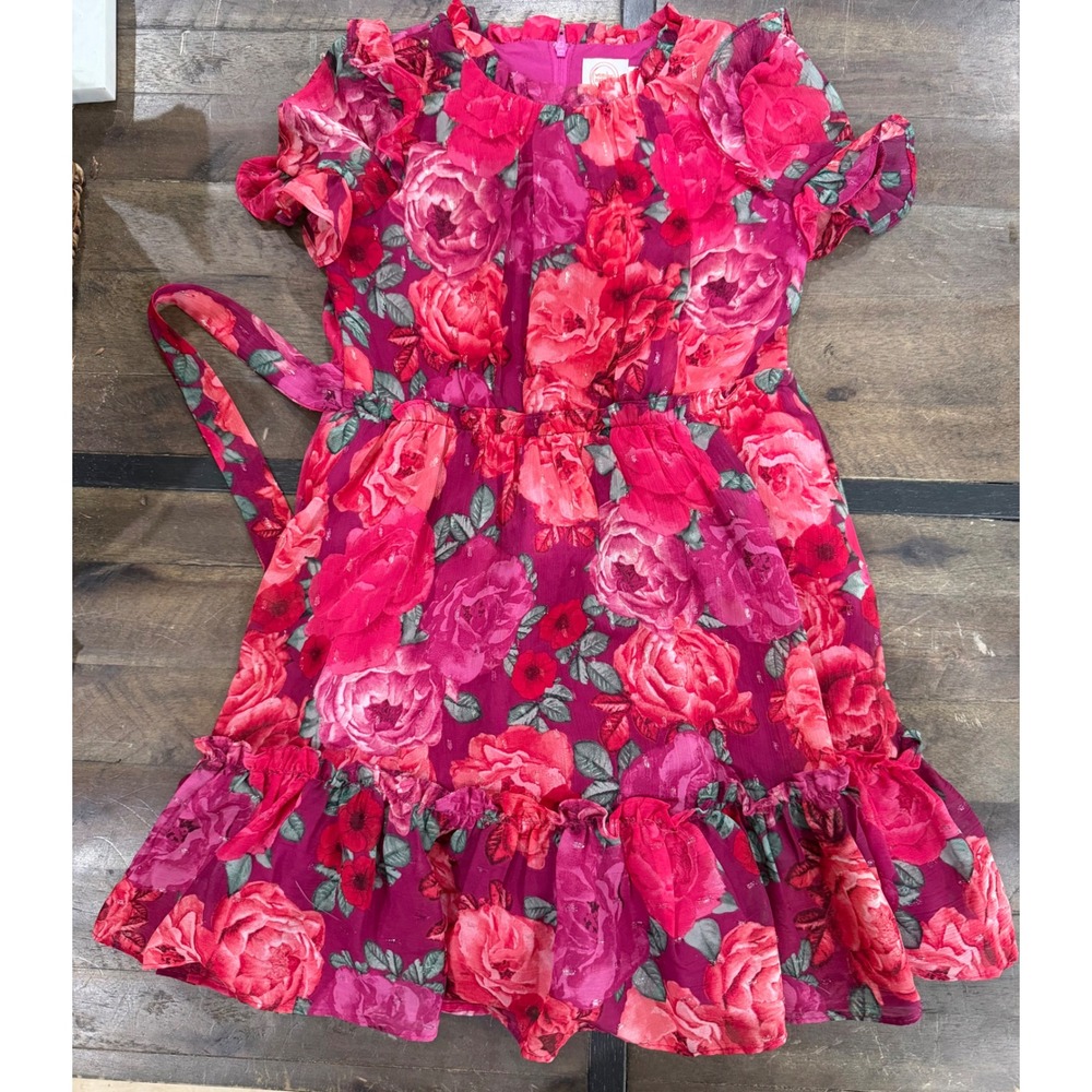 Wonder Nation Girls Pink Red Floral Chiffon Flutter Sleeve Dress Size 6